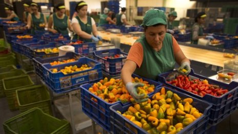 Испанската безработица падна до осемгодишно дъно