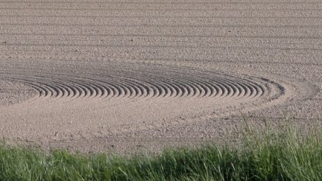 Приемът на проекти за иновации в земеделието тръгва в края на годината