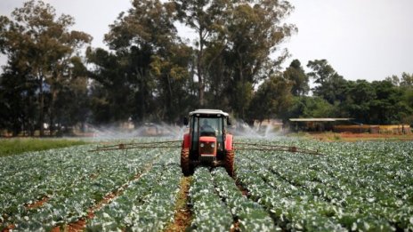 Т. Джиков: Българското земеделие не е в състояние да задоволи нуждата от основни храни