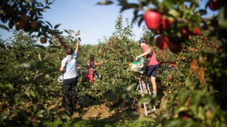 Недостигът на работници по света тласка нагоре цените на храните
