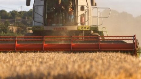 Русия започва да сее семената на "пшеничната дипломация"