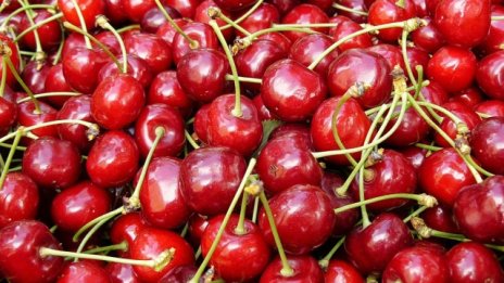 Агенцията за борба с градушките е спасила продукция за 100 млн. лв. тази година