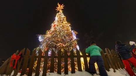 Кадър на деня за 1 декември