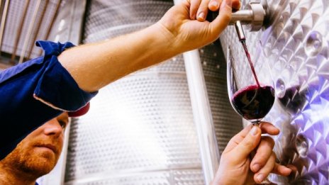 И винопроизводителите получават извънредно подпомагане