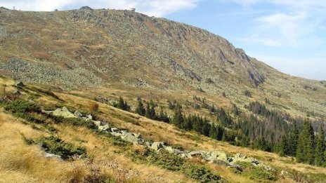 Приети са плановете на резерватите „Бистришко бранище“ и „Торфено бранище“