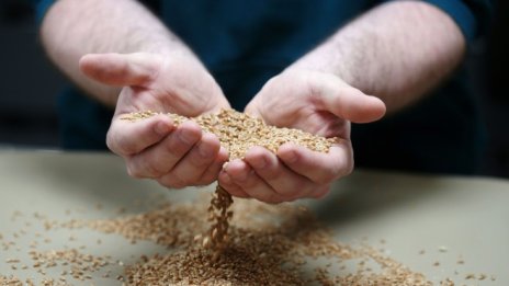 ООН: Милиони тонове неизползвано зърно са блокирани в Украйна