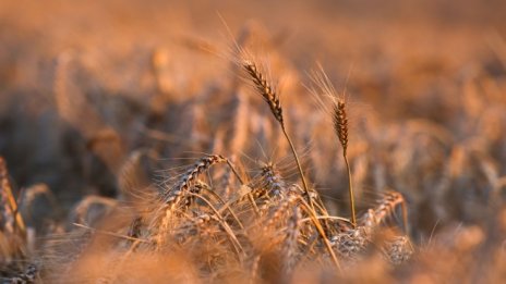 Володимир Зеленски: Украйна може да загуби десетки милиони тонове зърно