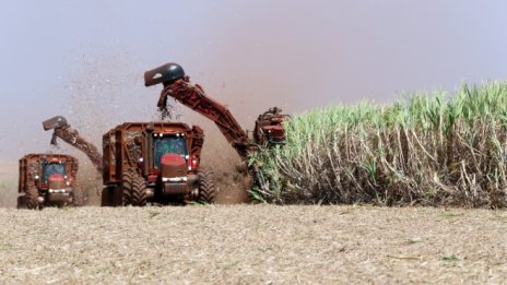 Най-големият производител на захар в света е напът да загуби короната си