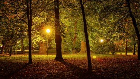 Столична община получи терен за изграждане на парк в "Младост 3"