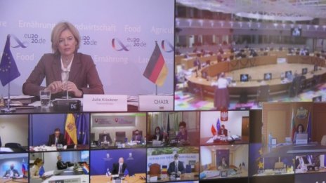 България отчита двоен спад при разпространението на АЧС в сравнение с 2019 г.