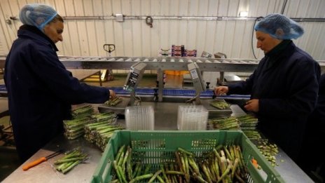 МЗХГ представи първите проекти на мерки за Общата селскостопанска политика