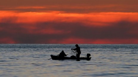 С тръстиков кораб учени доказват древна търговска връзка между Черно море и Египет
