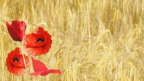  Финансирането на къщи за гости, джипове и ВЕИ по ПРСР може да бъде спряно