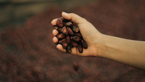 На пазара на суровини парите отиват при кафето, какаото и каучука