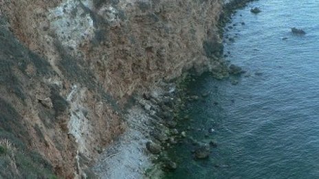 Мидените ферми използват само 15% от териториите, за които имат разрешителни