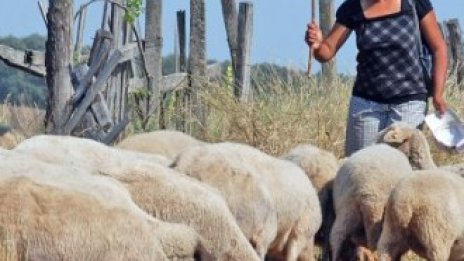 България трябва да се готви за двойно повече евросубсидии до 2020 г.