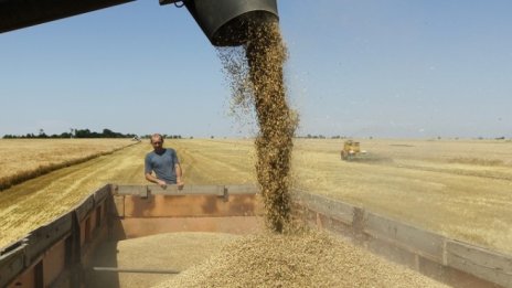 Русия се опитва да заеме първото място в света по износ на пшеница