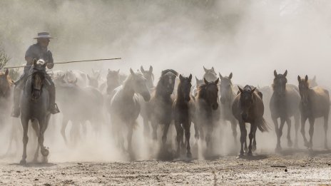 Кадър на деня за 7 септември