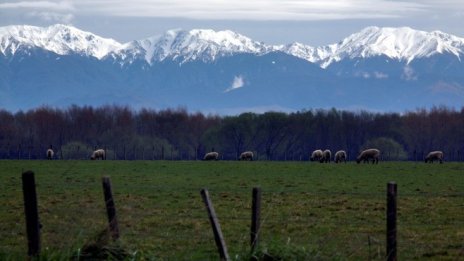 Работодатели се оплакват от "зелен рекет" в икономиката