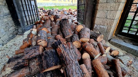 Земеделският министър не очаква загуби по Програмата за селските райони