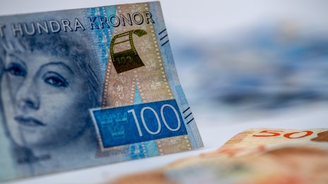 Швеция може да тръгне отново по пътя към еврото след септември