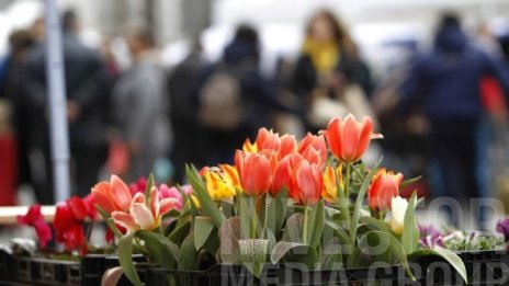 Фермери могат да кандидатстват с проекти за сдружаване