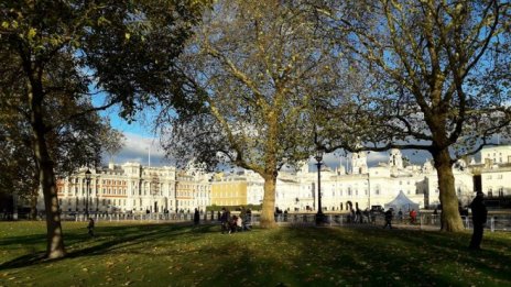 Само българите с трудов договор в Англия ще гласуват на евровота при твърд Brexit