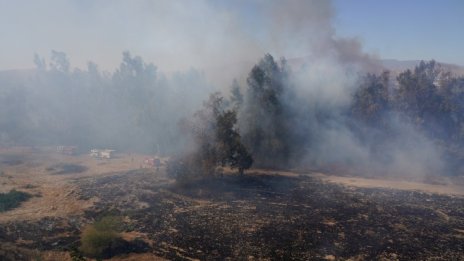 Молбите за помощи в САЩ растат на фона на горските пожари в Калифорния