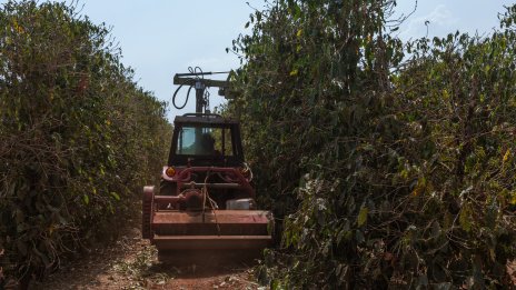 Нови притеснения за реколтата в Бразилия доближиха цената на кафето до рекорд