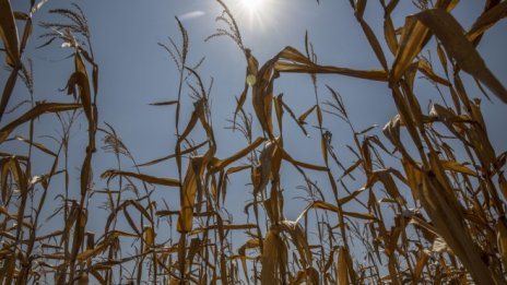 Сделките на "Адванс Терафонд" показват ръст на цените на нивите през септември