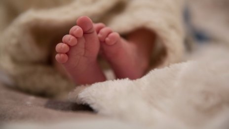 За асистирана репродукция през 2017 г. са изплатени близо 14 млн. лв.