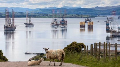 Цените на петрола остават близо до едномесечен връх*