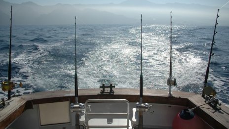 Започна прием на проекти за аквакултурни стопанства по програма Рибарство