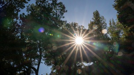 BlackRock разкрива пътя към освобождаването на зелени инвестиции за 4 трлн. долара