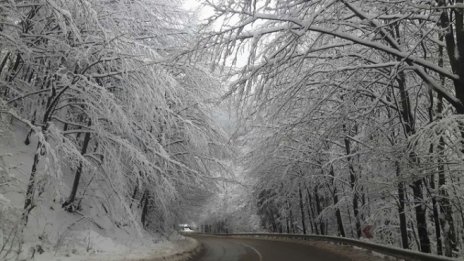 МВР ще засили контрола по пътищата в празничните дни