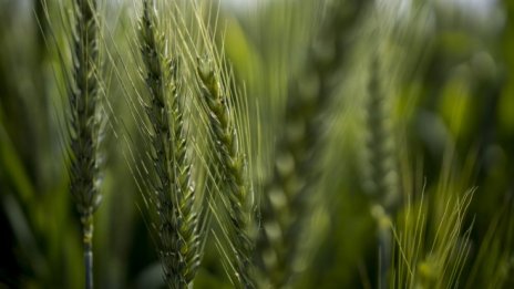 Цените на храните в света са нараснали с 20,7% през февруари и достигат рекорд