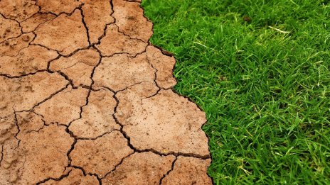 2025 г. е напът да бъде сред трите най-топли години в историята