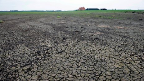 Екстремните метеорологични условия по света могат да увеличат разходите за храна