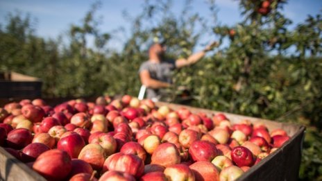Стратегически документи за земеделието останаха недовършени