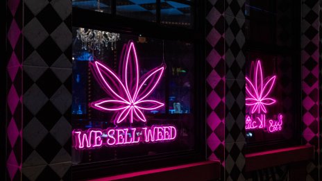 Twitter става първата социална медия, която разрешава реклами на канабис в САЩ