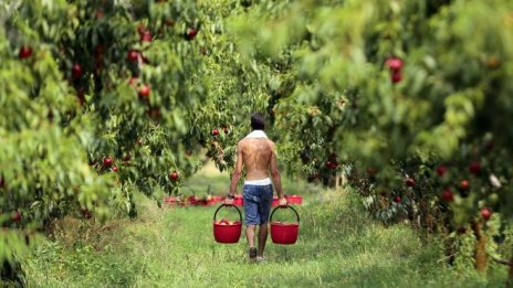 Влиятелна италианска организация ще участва в София в дебат за бъдещето на ОСП
