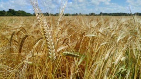 Елана Агрокредит отчете над 4% спад на тримесечната печалба