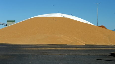 Избягването на хранителна криза в света догодина зависи главно от доброто време