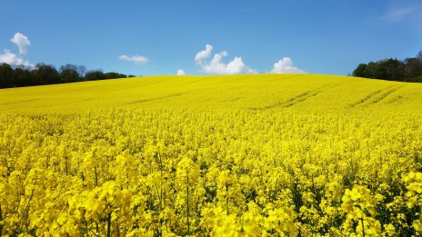ЕК одобри помощ за българските земеделци в размер на 120 млн. лв.