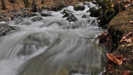 Система за мониторинг ще следи водите на Искър в реално време
