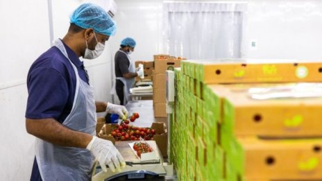 МВФ: Имиграцията подобрява икономическия растеж на развитите страни