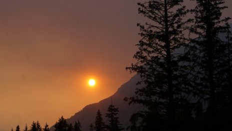 Кои са най-големите производители на вредни емисии?