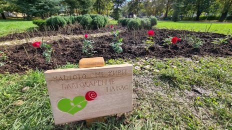 Стойчо Кацаров: Повече няма да има злоупотреби с трансплантации