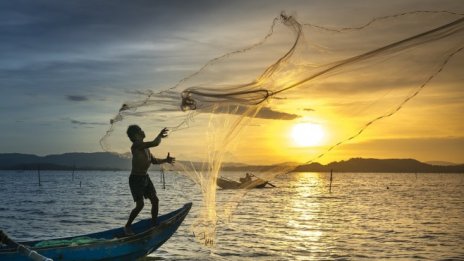 Агроекологията свива негативите от нарасналия апетит за риба в света