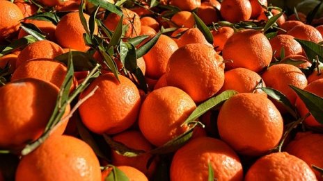 Храните на едро с първи спад от септември
